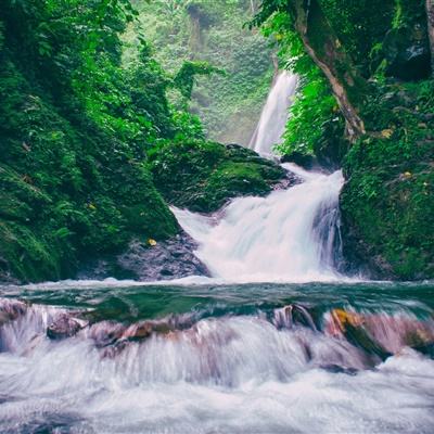 塔防小护卫游戏